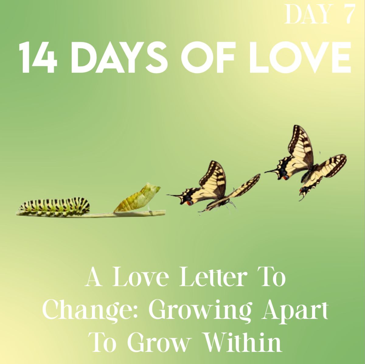 14 Days of Love Day 7: A Love Letter to Change: Growing Apart to Grow Within